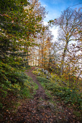 Weg zum Aussichtspunkt La Brostille