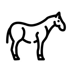 horse animal line icon vector. horse animal sign. isolated contour symbol black illustration