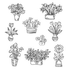 Monochrome set collection of hand-drawn bouquets of flowers and houseplants Ink pen drawing in the style of doodles