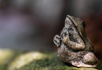 steinfrosch im garten