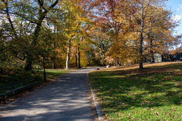 Fototapeta premium New York City Central Park 