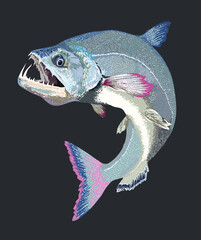 Drawing payara fish, river monster fish, art.illustration, vector