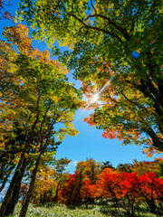 初秋の大台ケ原