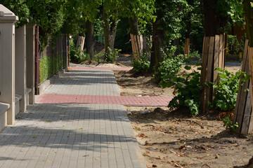 Fototapeta premium Renovation of the pavement, excavation and protection of trees from destruction in a small town.