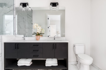 A beautiful, modern bathroom with a dark vanity and white granite counter top. A small plant and...