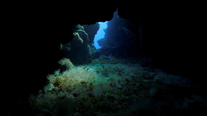 Naklejka na ściany i meble Inside a cave underwater