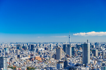 Fototapeta premium 東京 青空と都市風景