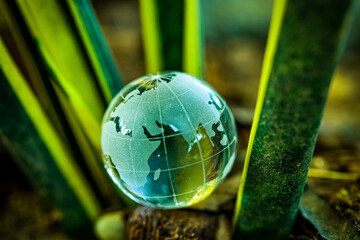 Earth day and world environment day. Green planet concept. World globe crystal glass surrounding by green leaf.