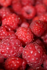 Macro photo of many red juicy raspberries