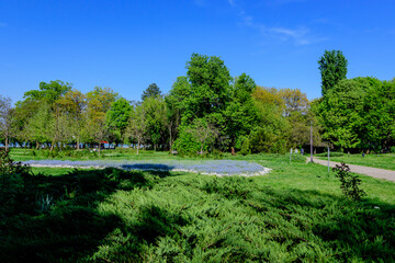 Fototapeta na wymiar Landscape with the green grass and trees in King Michael I Park (Herastrau), in a sunny spring day.