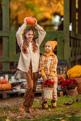 funny girls sisters in the fall with pumpkins and flowers have fun