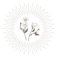 floral emblem