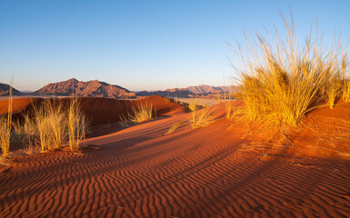 Red dunes of Elim in Namib, Sesriem, Namibia