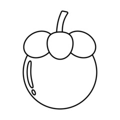 Vector graphic illustration of mangosteen, outline only. Perfect for coloring book.