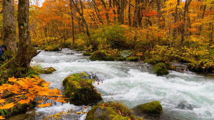 waterfall in autumn