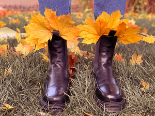 Autumn shoes in the fall foliage. Leaf fall. Autumn walks through fallen leaves. Maple yellow leaves in black boots