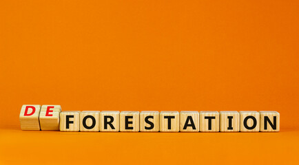 Forestation or deforestaion symbol. Turned wooden cubes and changed the word deforestation to forestation. Beautiful orange background, copy space. Ecological, forestation or deforestaion concept.