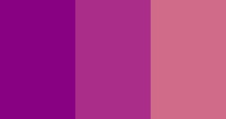 Obraz premium Color trend 2022: Calming coral, Velvet Violet, Pacific Pink