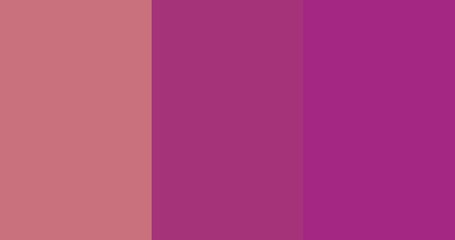 Obraz premium Color trend 2022: Calming coral, Velvet Violet, Pacific Pink