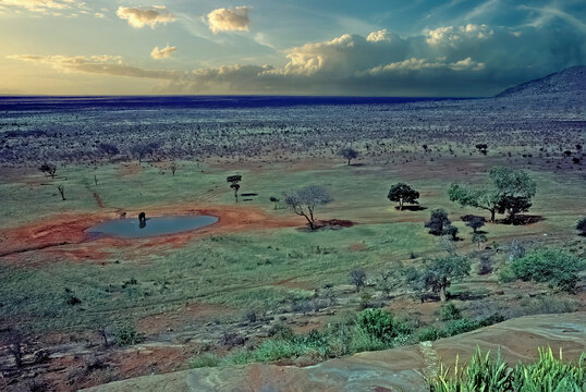 Tsavo East National Park,Kenya Africa