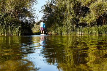 Fototapeta na wymiar Adventurous man on a stand up paddle board is rowing along a small river among green trees along the bank. Back view