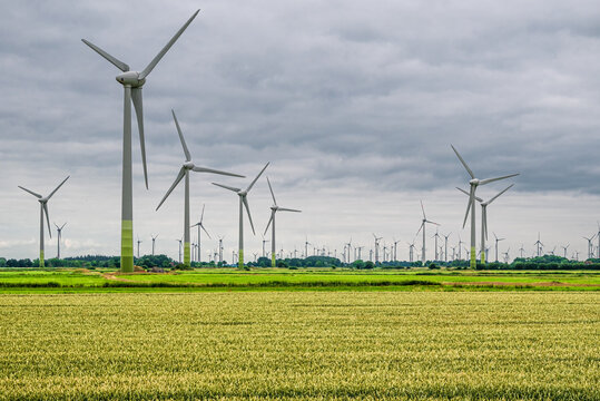 Windr&auml;der an der Nordseek&uuml;ste
