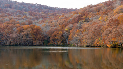autumn in the mountains