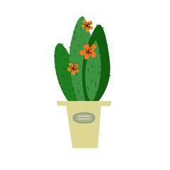 cactus in a pot