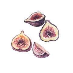 Fig fruits Hand drawn watercolor illustration Nature natural product Seamless pattern set Print textiles Garden agriculture
