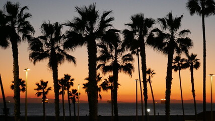 California sunset with palm trees in November