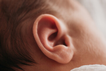 Naklejka premium newborn's ear