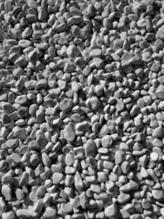 Black and white photo of pebble