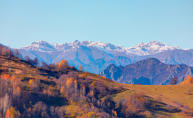Fototapeta premium Panoramic view of Savsat highlands on a beautiful autumn day - Scenic image of forest landscape at sunny day - Autumn colorful landscape with colorful tree - Savsat, Artvin