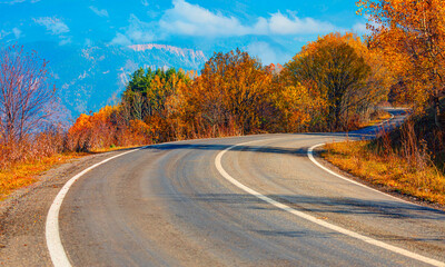 Curve asphalt road in autumn forest at sunrise - Savsat, Turkey