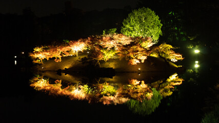 christmas tree lights