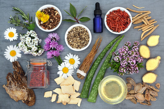 Herbs and flowers for aromatherapy herbal plant medicine remedies. Natural alternative health care concept. Top view, flat lay on mottled grey background.