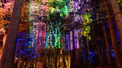 Obraz premium background