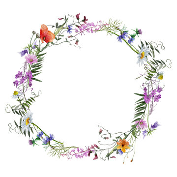 Botanical wreath isolated on white background, Watercolor floral wreath, Isolated spring flowers frame, Hand drawing wild flowers, Wild herbs Illustration for invitation, greeting cards, wedding