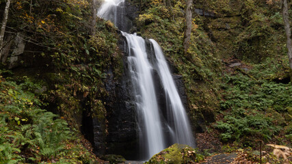 waterfall in the forest