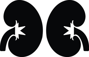 Kidney icon vector. Urology logo design template.

