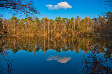 Spiegelung im See bei Marckolsheim im Elsass