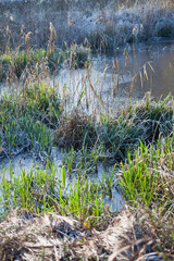 Frosty lake landscape during beautiful sunny winter day.