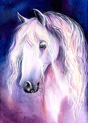 white horse on a dark blue background in watercolor