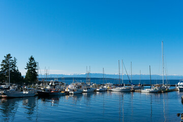 Marina in the Pacific Northwest