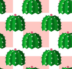 Seamless pattern or poster depicting a green cactus with a hint of boobs on a pink background.