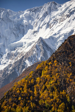 Beautiful autumn view of Nanga Parbat mountain, picture taken on the way to Nanga Parbat Base Camp, Pakistan