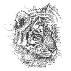 Scribble or scrawl Siberian or Amur tiger portrait in black isolated on white background.