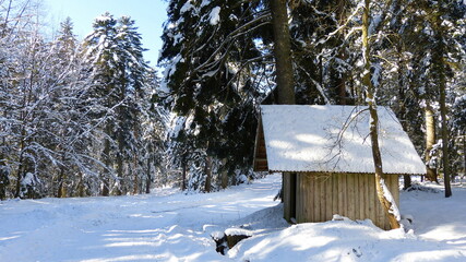 Schneebedeckte Schutzhütte am Rande eines Wanderweges im Naturpark Nordschwarzwald