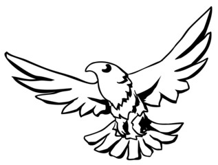 Falcon Flying Stencil