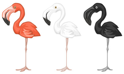 Flamingo Design Element